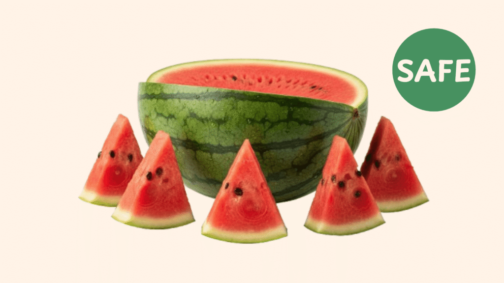 Watermelon Safe for Dogs
